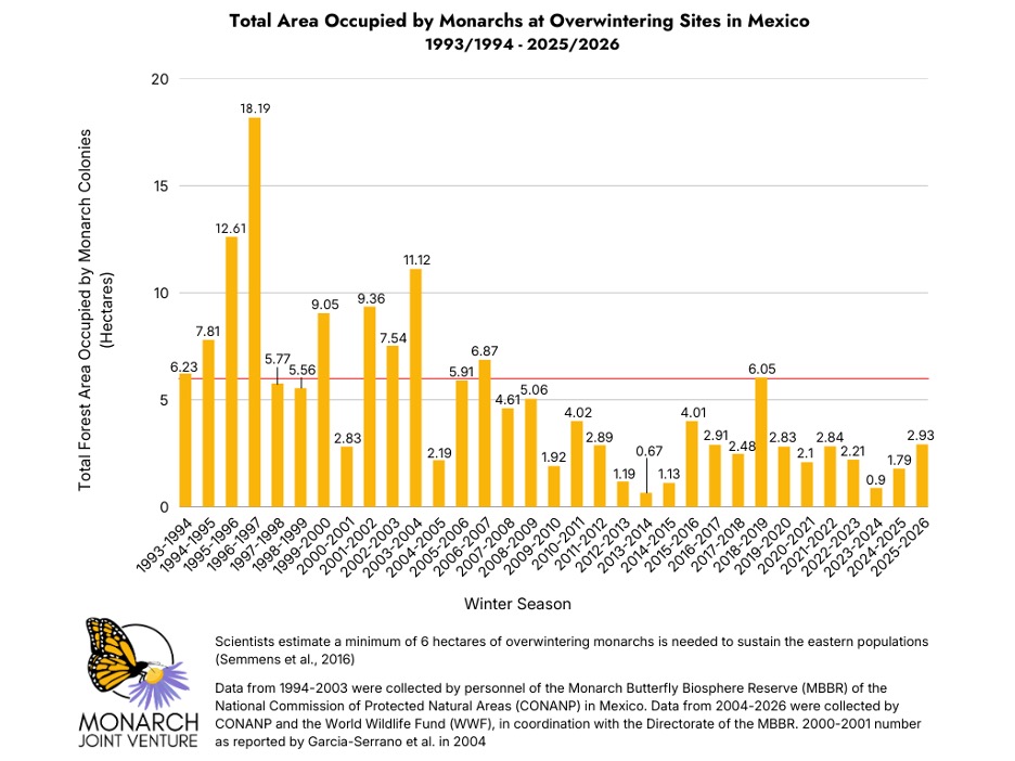 A bar graph indicating the total area occupied by monarchs at overwintering sites in Mexico between 1993 to 2026. The graph illustrates an overall decline throughout the total years, but some upward growth in 2026.