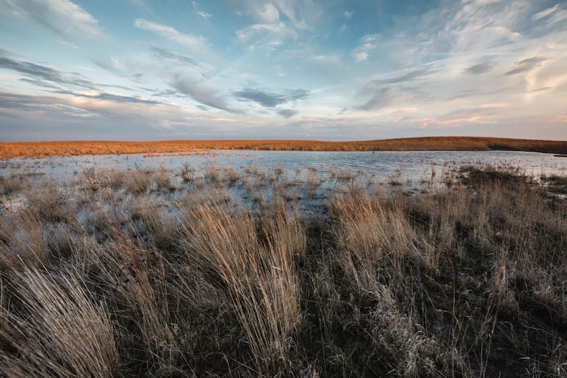 A dramatic partly cloudy sky is reflected in a wetland in the fall. In the background are tan, brown grasses. In the foreground are gray grasses and wetland vegetation.