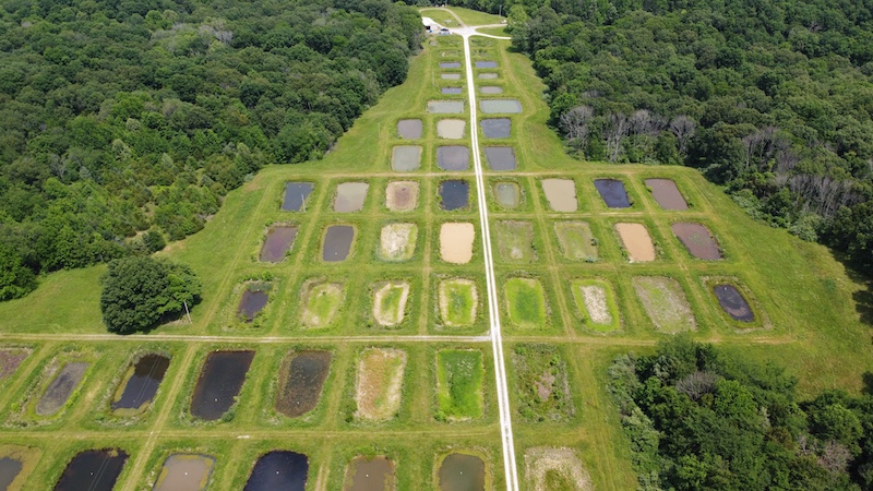 An aerial view of a group of research ponds lined up in several rows of various lengths. Surrounding the ponds are green lush woodlands.