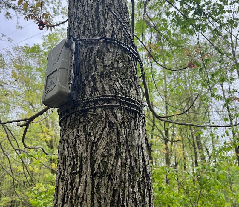 A brown rectangular sound recording device secured to a tree by ropes encircling the trunk. In the background are green leafy trees.