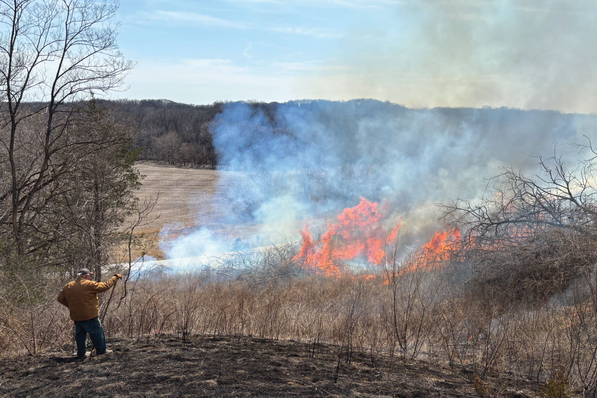 An individual wearing a yellow flame resistant jacket stands on a hill where a prescribed burn was recently conducted overlooking a brushy valley. In the distance the fire is burning amongst the brush along a country road. An agricultural field is in the background with a horizon line of trees against a bright blue partly cloudy sky.