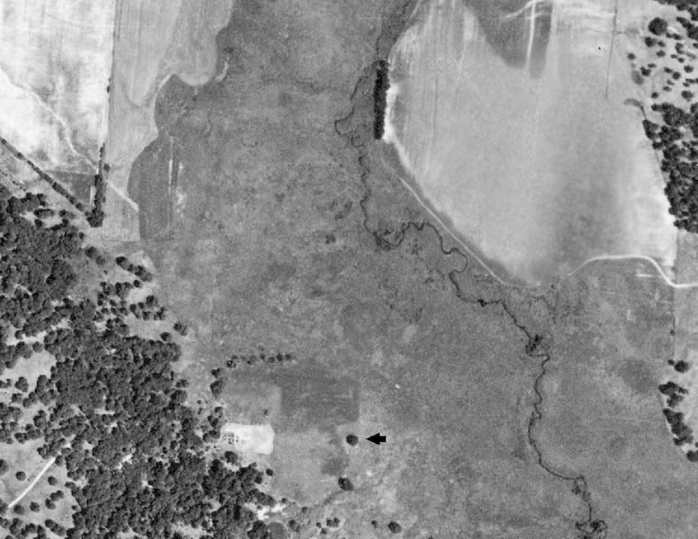 A historical black and white aerial map of agricultural fields. A creek runs diagonally from the top middle to the bottom right of the image. A bunch of trees are in the bottom left corner and in the top right corner.