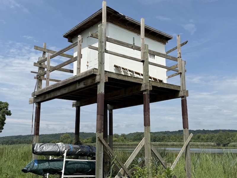 A white wooden shed like structure with a door is installed on a platform held above a wetland by wooden posts. Above the structure is a bright blue partly cloudy sky. In the background is a line of bluffs covered in woodlands.