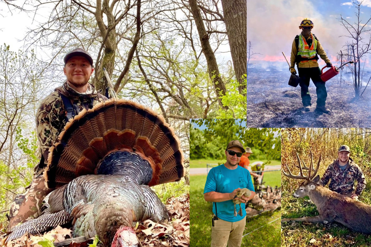 A photo collage of three images. The image on the left is of a hunter in camouflage gear sitting on the ground in a spring woodland. In front of the hunter is a successfully caught wild turkey with its tail feathers fanned out. The top image to the right is of a man wearing fire resistant gear in a prescribed fire burn on a prairie. Two photos are in the bottom right. One image is of a hunter wearing camouflage gear posing next to a successfully harvested white-tailed deer. The other photo is of a researcher holding a Canada goose gosling.