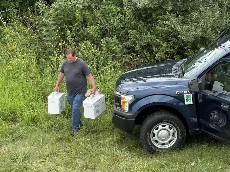 A man holds a cardboard box in each hand by handles at the top of the box. To the right of the man is a navy blue pick-up truck. In the background is brushy vegetation.