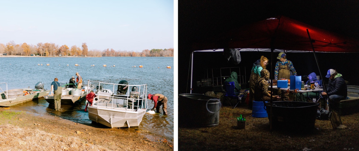 Two photos collaged together side-by-side. The photo on the left is of three metal boats on a lake shore with three researchers wearing waders and prepping for work on the lake. The photo on the right is of researchers working under a canopy tent at night. A lamp hung up in the tent lights the work of four researchers.