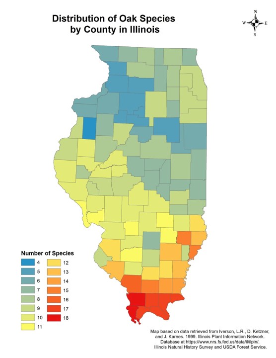 A map of the state of Illinois with the counties outlined in black. The map shows the distribution of Oak species by county. The range of colors are blue, green, yellow, orange and red. The fewer species of oak trees are at the blue range with the most species of oak trees in the red range. The state is blue green at the top, green yellow in central Illinois and red orange in southern Illinois.
