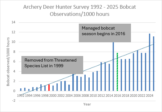 A bar graph showing the increase of bobcats observed by hunters in the field from 1992 to 2025.