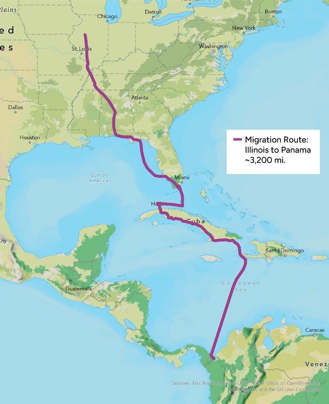 A with map with a magenta line from central Illinois, south through Alabama to Florida, and around Cuba to Panama.