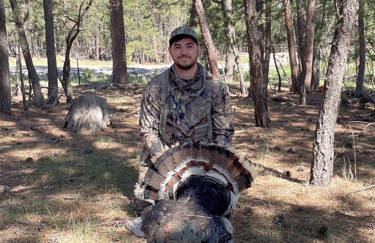 A hunter wearing camouflage gear kneels on the forest floor. A successfully harvest wild turkey rests in front of the hunter. Its tail feathers are spread out in a fan shape in front of the hunter. In the background a road cuts through a woodland full of pine trees.