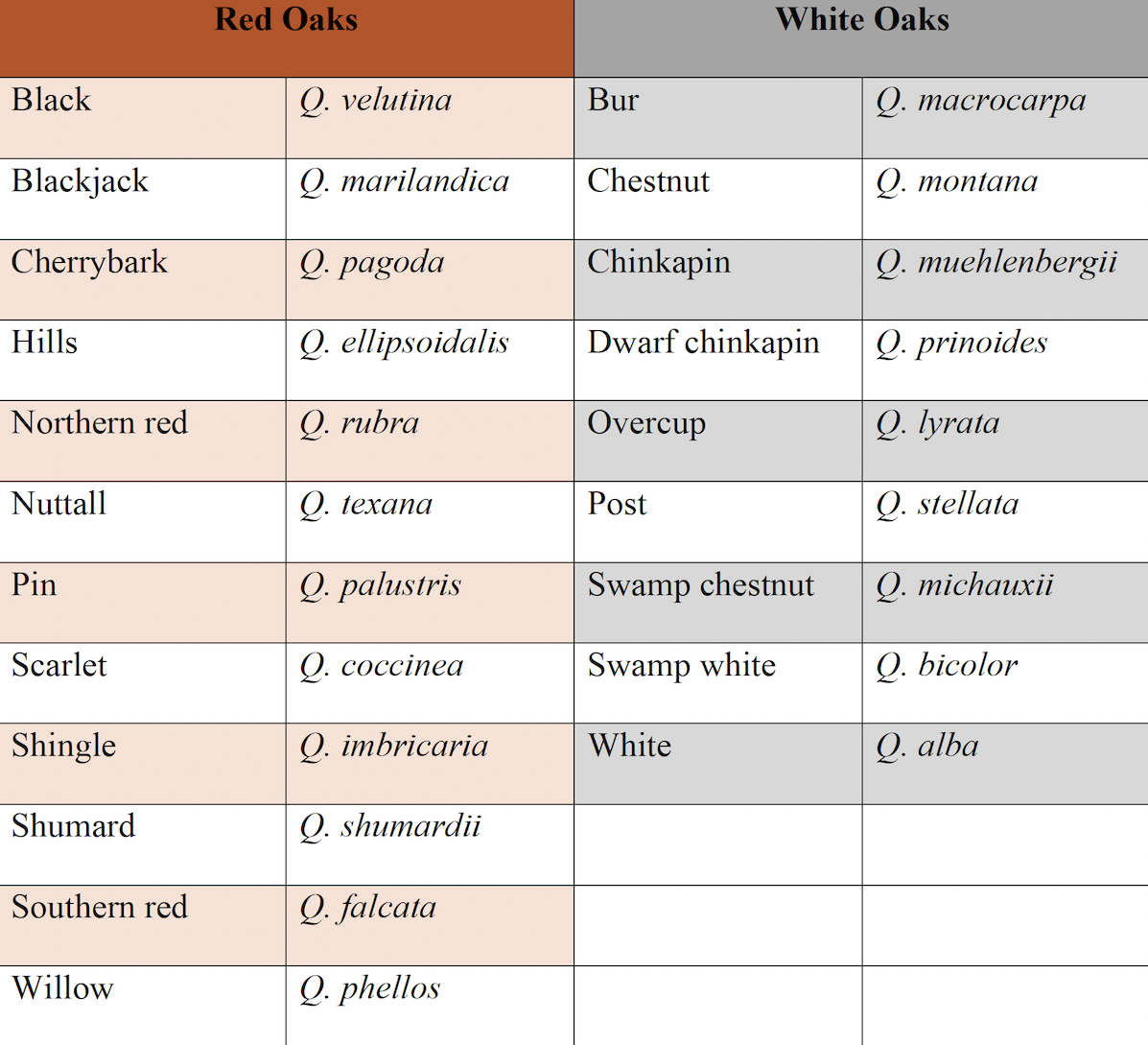 A chart listing all the different red oaks and white oaks by scientific names in Illinois.