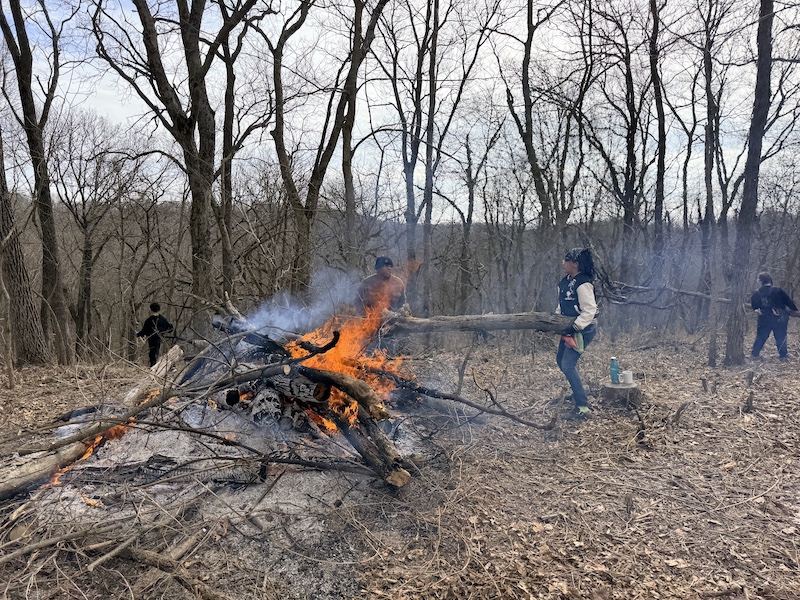Two people haul a log towards a bonfire. In the background are two other people working to clear brush in a woodland.