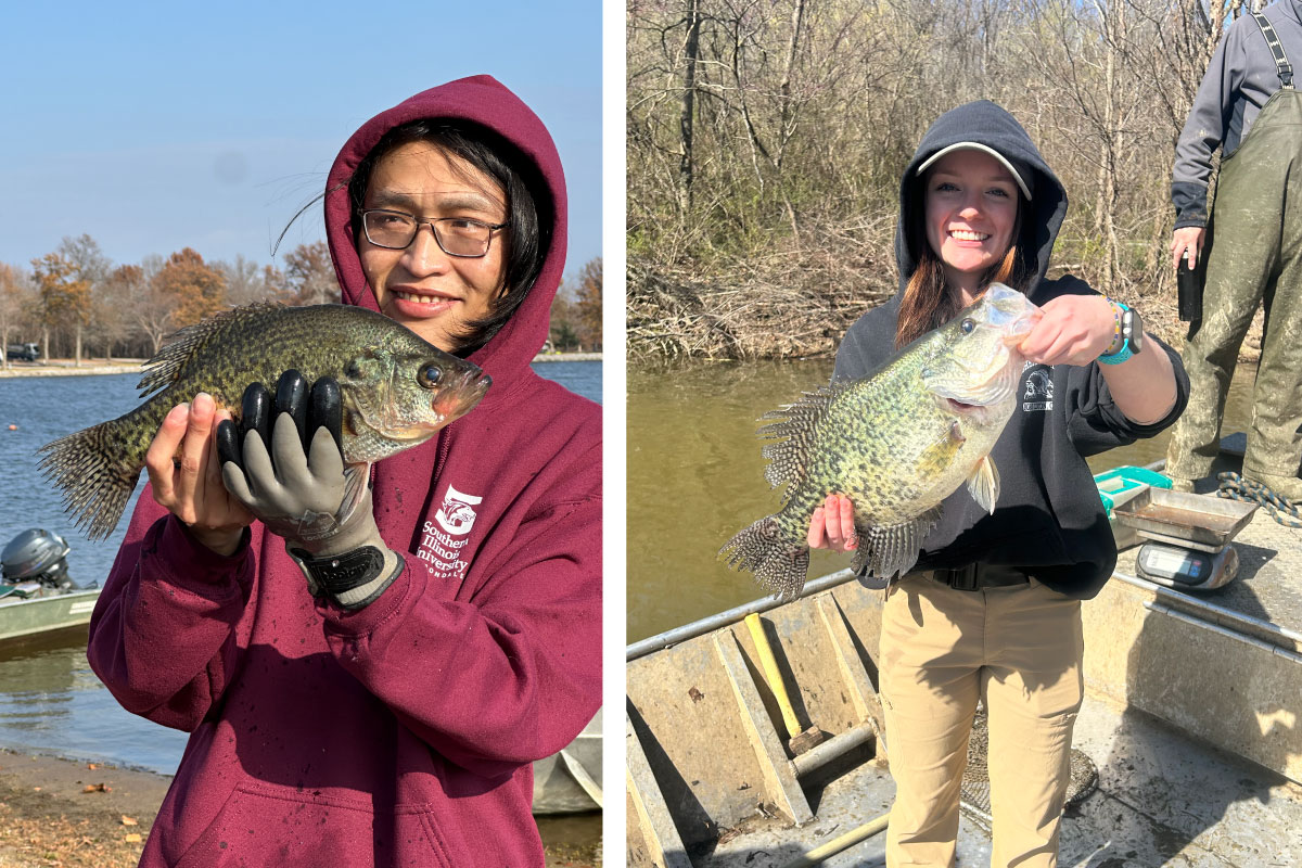 Two photos collaged together in a row, side-by-side. The photo on the left is of a researcher wearing a red hoodie holds up a green and black speckled fish. In the background is a lake with a horizon line of trees against a bright blue sky. The photo on the right is of a researcher standing in a metal boat on a lake while holding up a large green, black and white speckled fish. Another researcher stands on the boat nearby. In the background is a brushy woodland lake shore line.